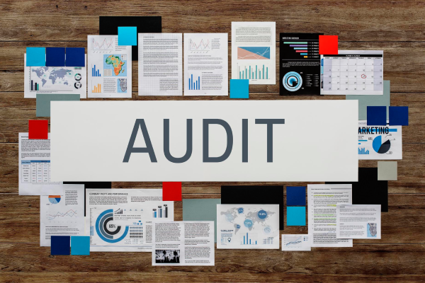 Reliable audit firms in Mumbai conducting detailed business audits.